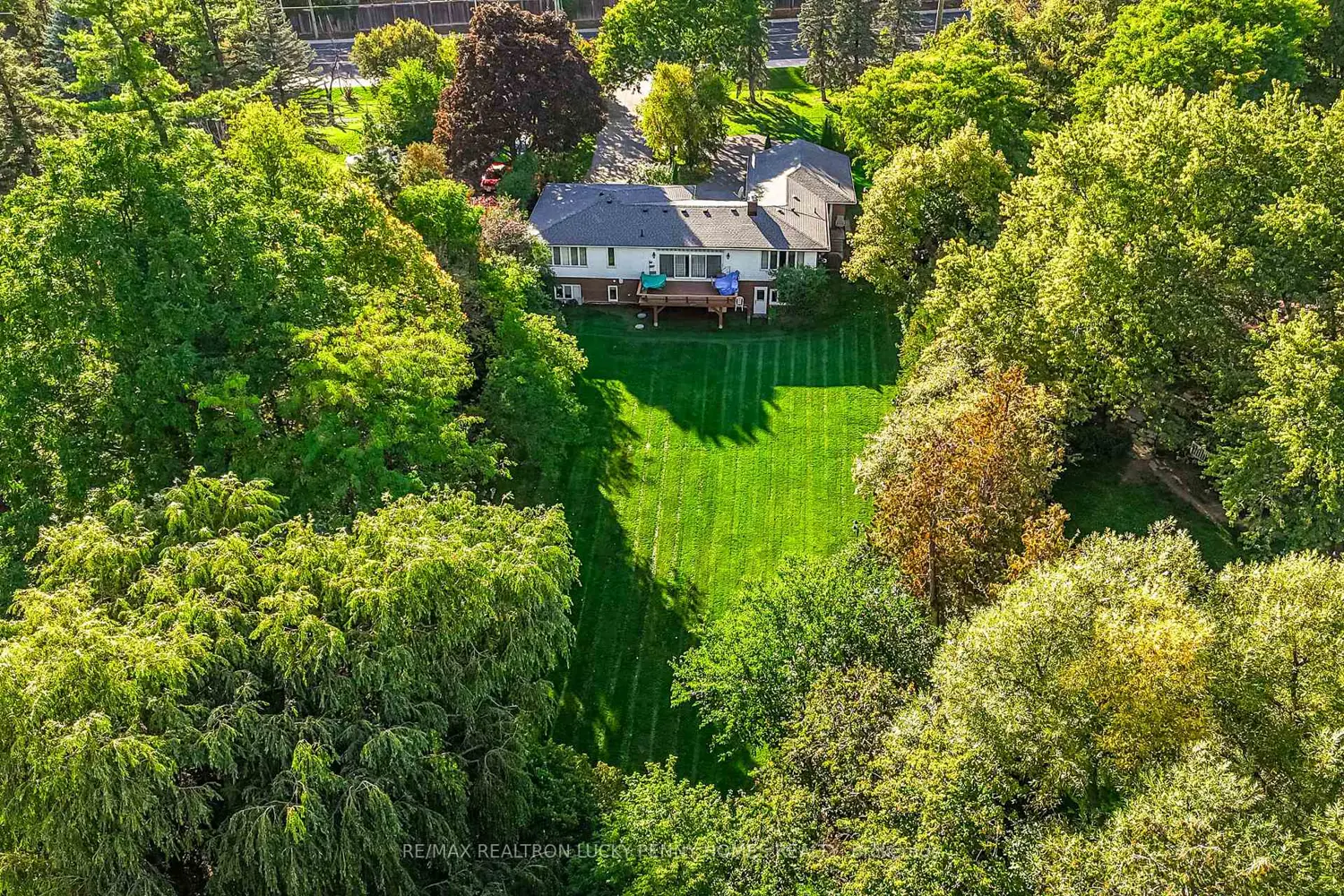 Additional image 19 of 9799 Warden Avenue
