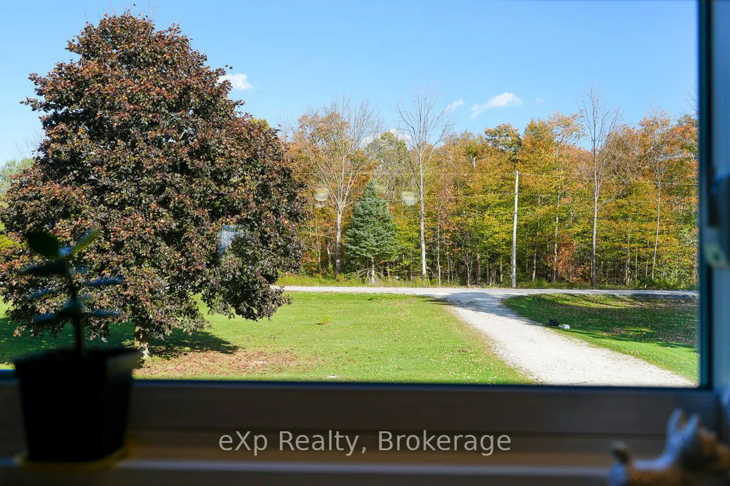 Additional image 3 of 179422 Grey Road 17