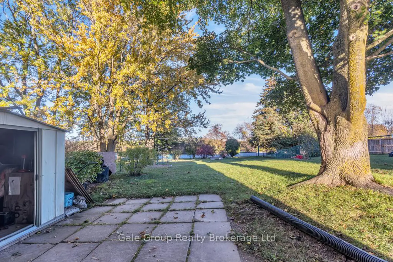 Additional image 5 of 61 Tennyson Street