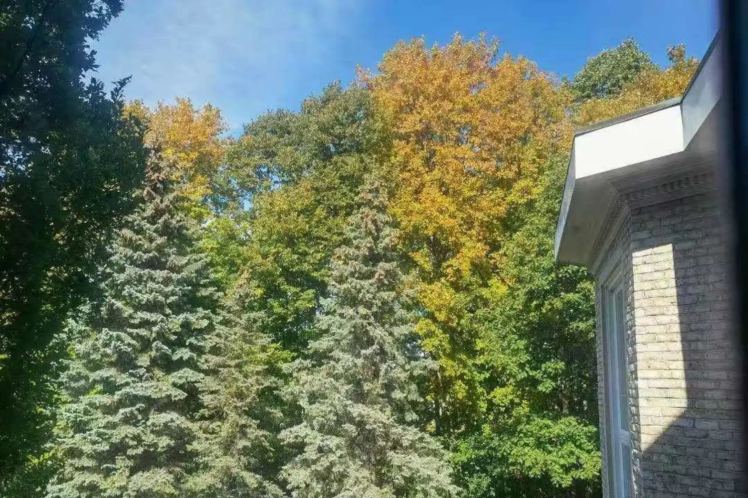 Additional image 14 of 42 Maryvale Crescent