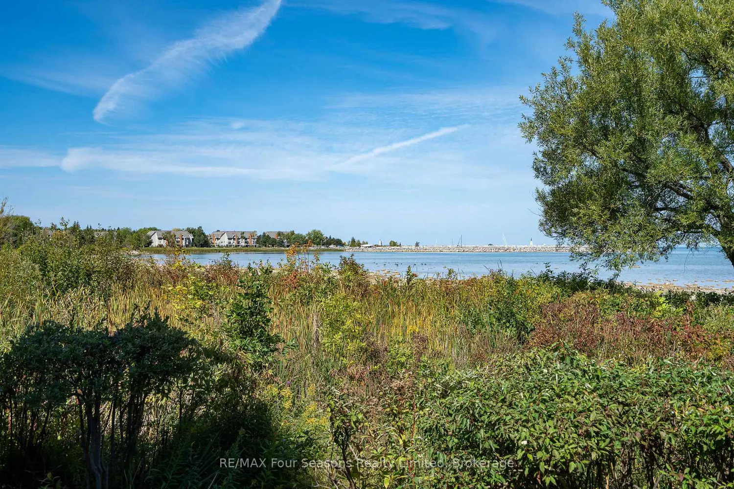 Additional image 5 of 44 Trott Boulevard 24