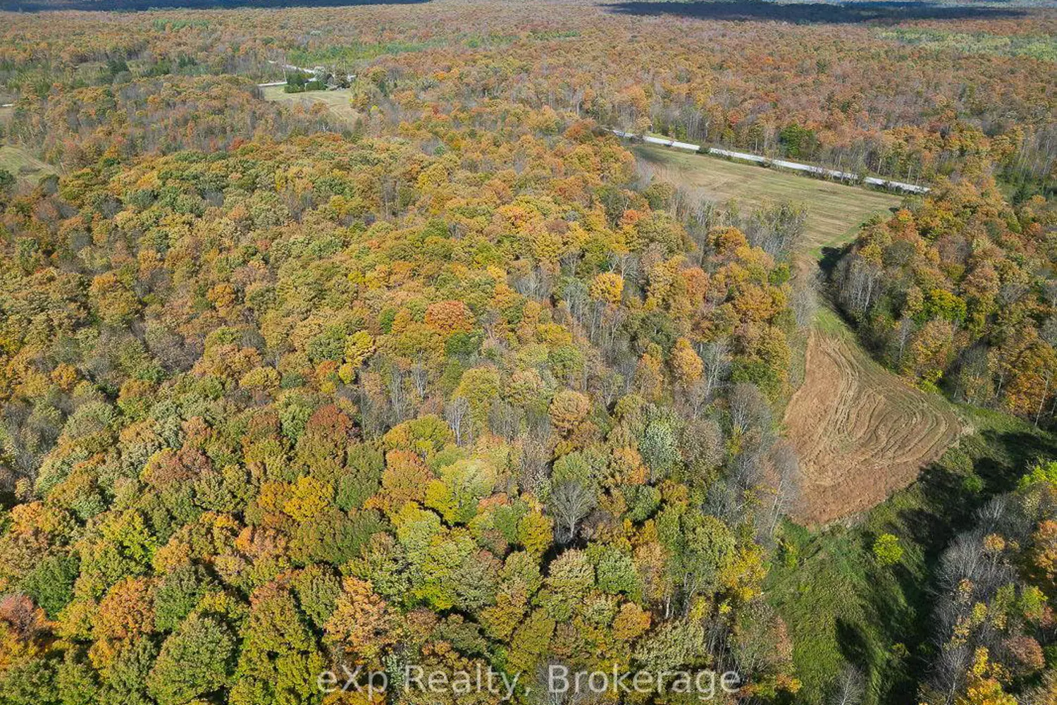 Additional image 20 of 179422 Grey Road 17