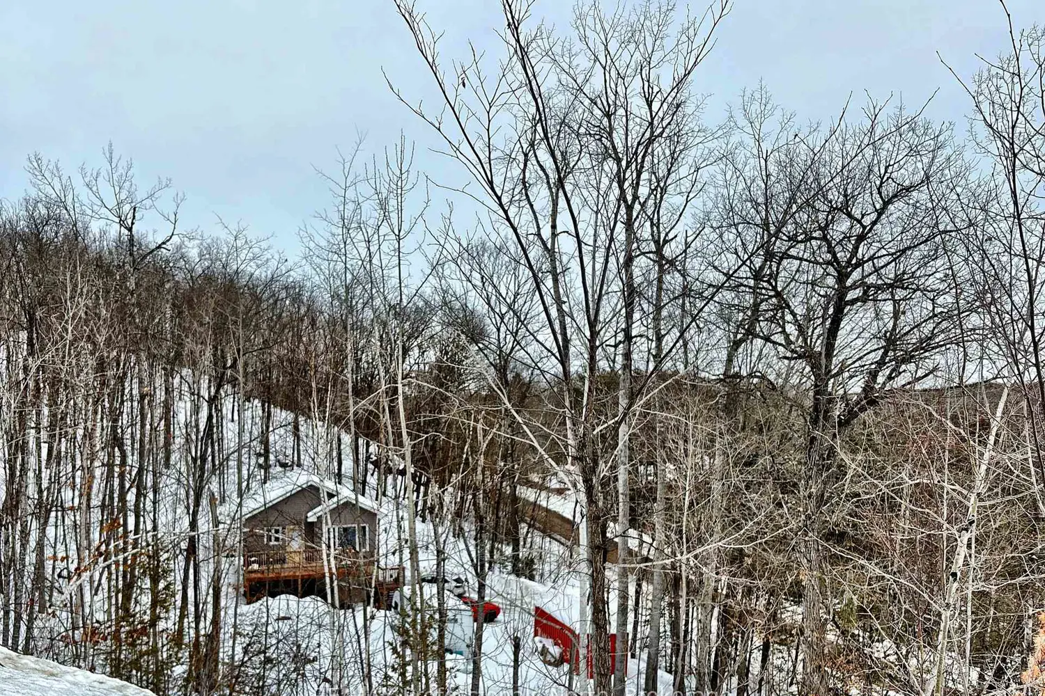Additional image 17 of 1065 Hendersons Road