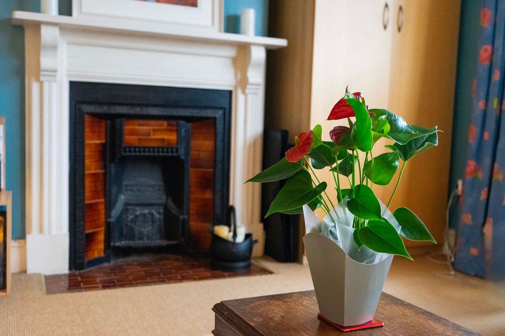 Additional image 24 of 6 bed semi-detached house for saleLetchworth Road, Western Park, Leicester LE3