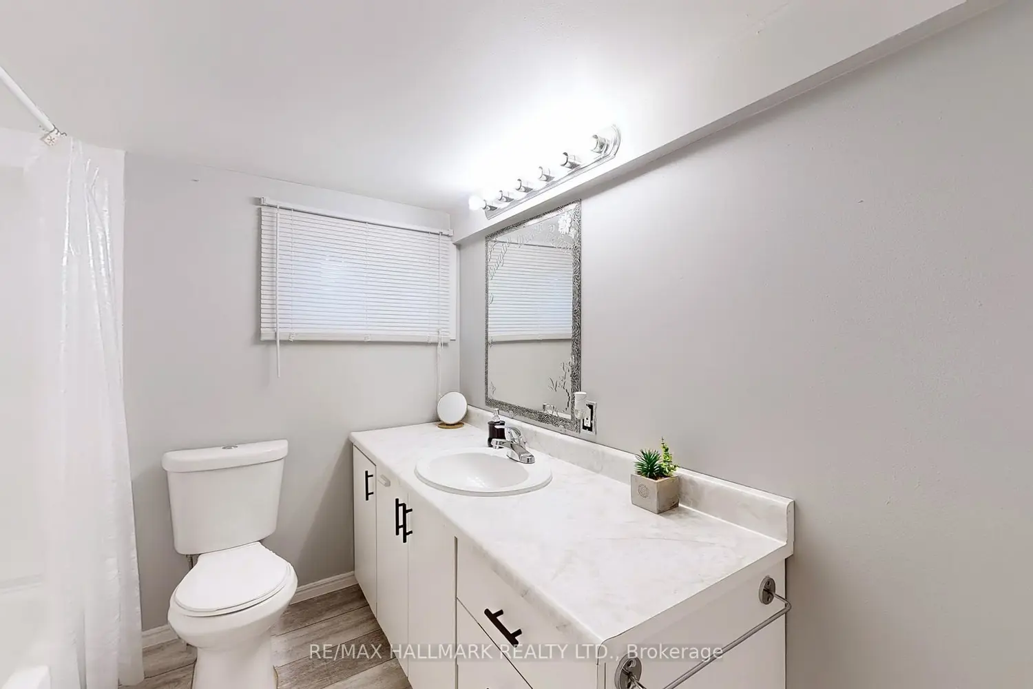 Additional image 9 of 178 Barrie Street