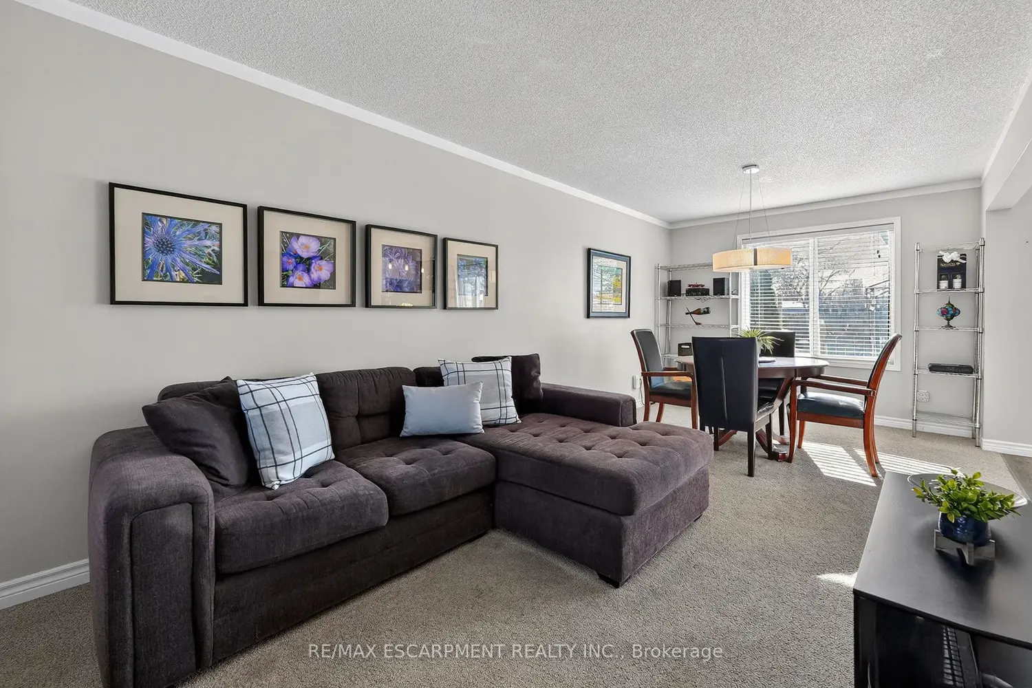 4996 Greenlane Road photo 5