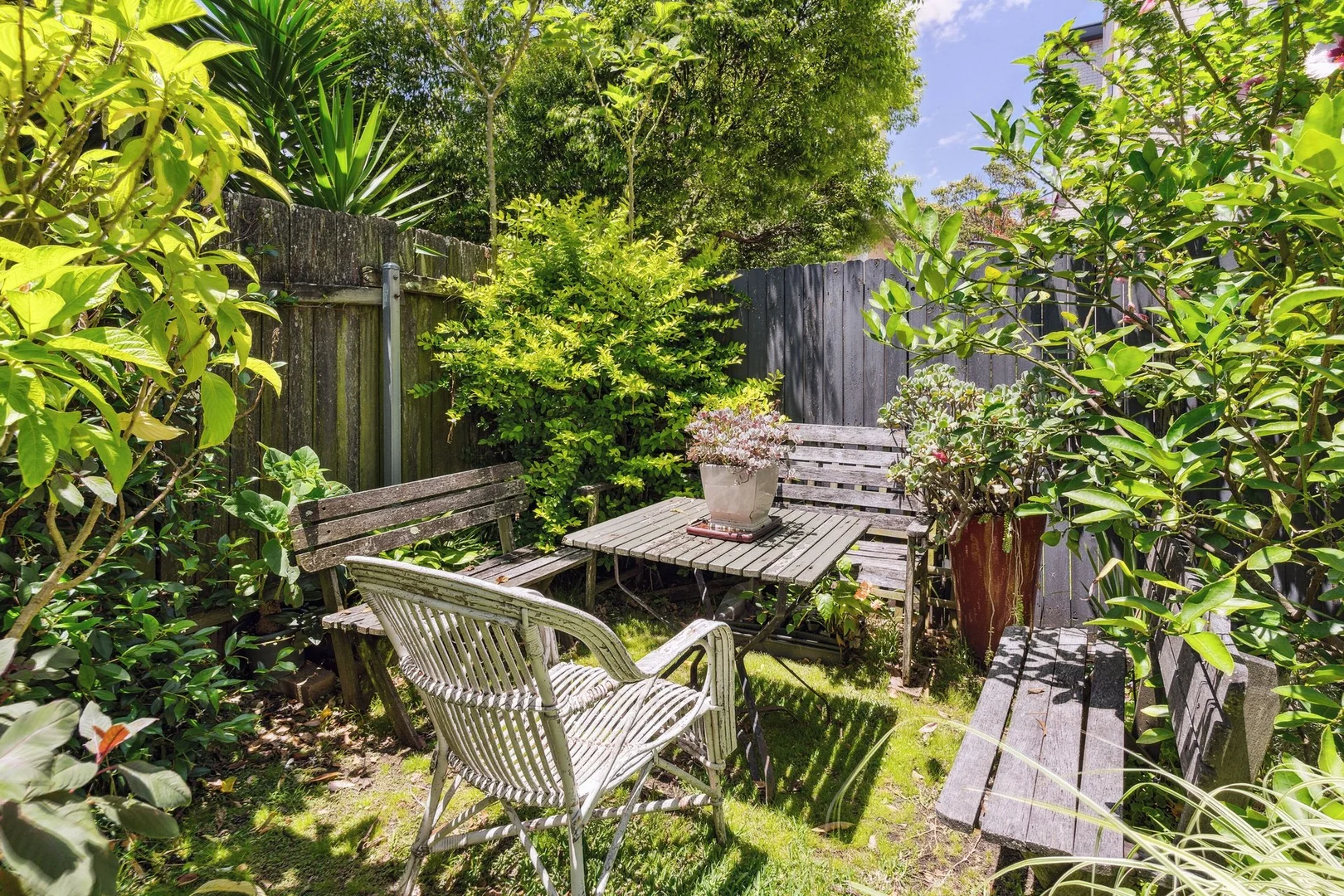 Additional image 2 of Mosman NSW 2088