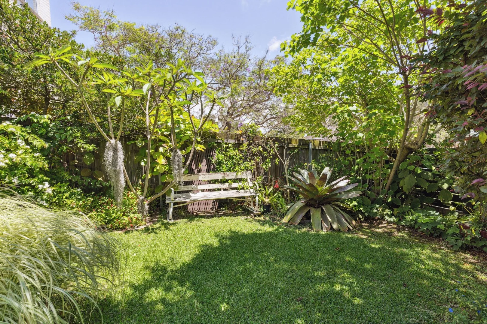 Additional image 5 of Mosman NSW 2088