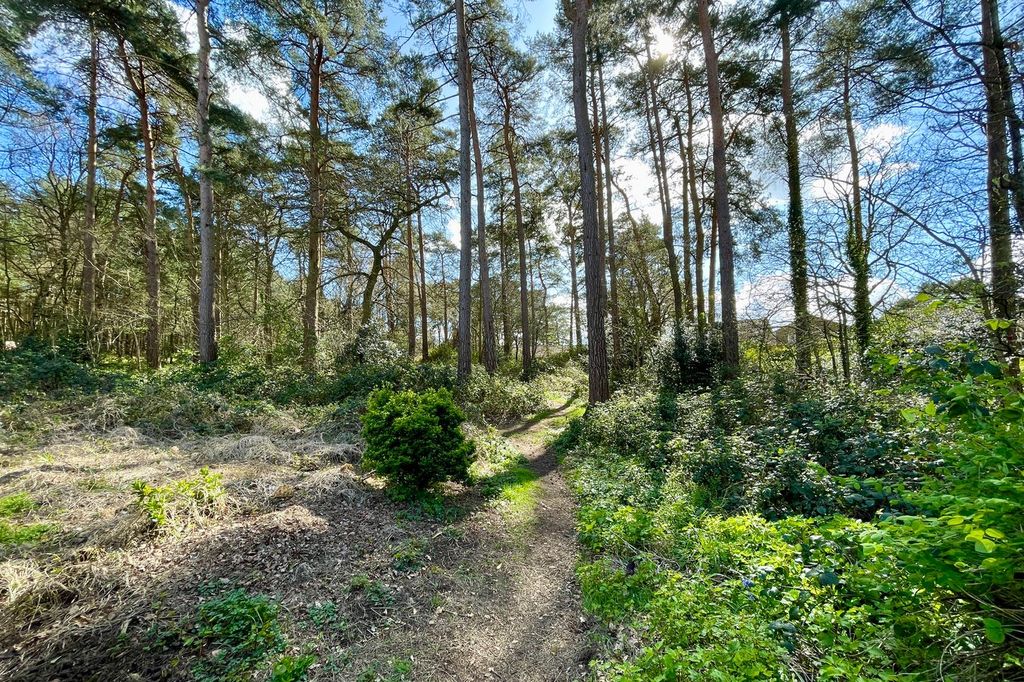Additional image 12 of 1 bed flat for saleWoodlands Court, Owlsmoor, Sandhurst GU47