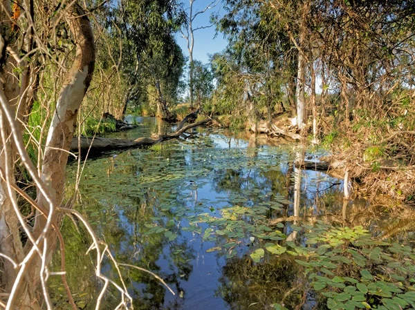 Additional image 10 of Ridgelands QLD 4702