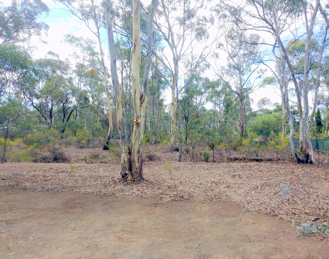 Additional image 3 of Tarnagulla VIC 3551