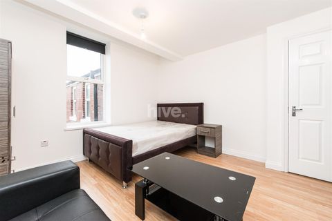 Wingrove Road, Fenham, Newcastle Upon Tyne NE4, Studio to rent