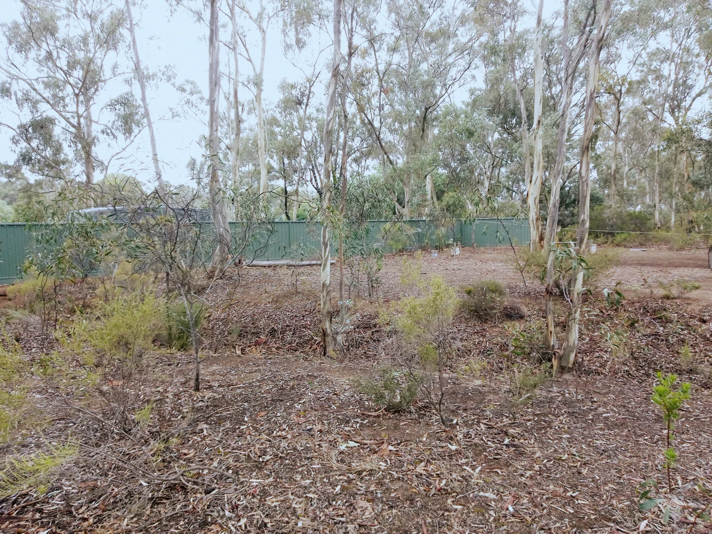 Additional image 5 of Tarnagulla VIC 3551