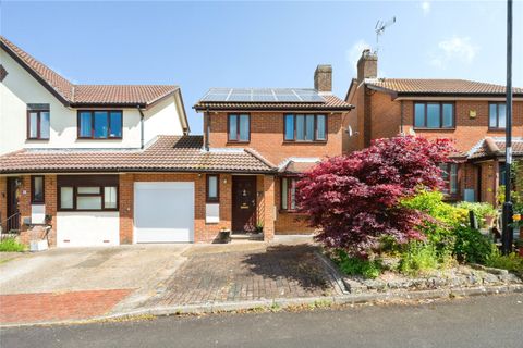 Camellia Gardens, Southampton, Hampshire SO18