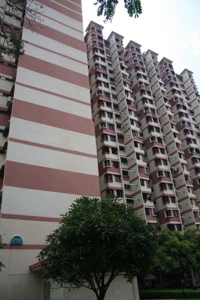 Additional image 6 of 210 Boon Lay Place