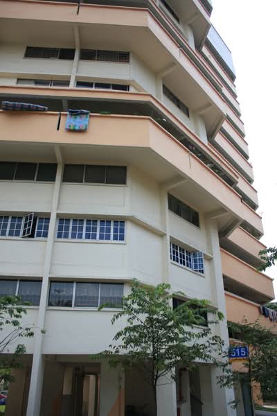 Additional image 5 of 515 Jurong West Street 52
