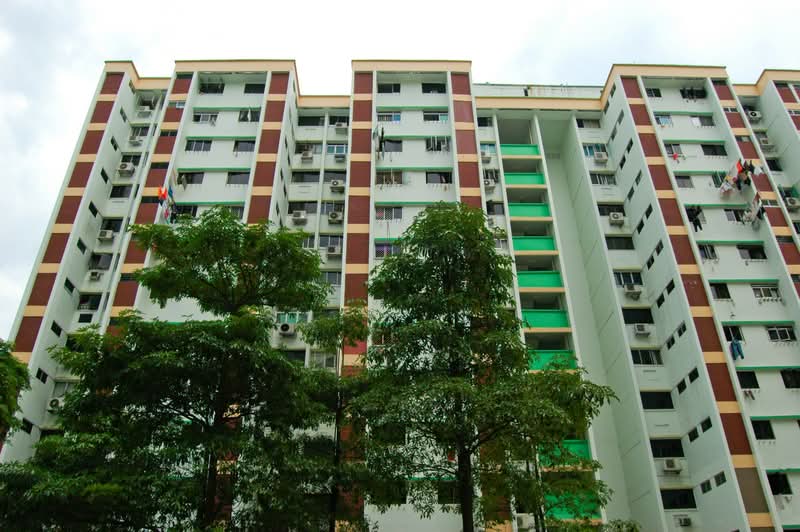 Additional image 6 of 205 Bukit Batok Street 21