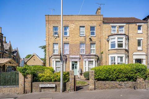 Hermon Hill, London E11