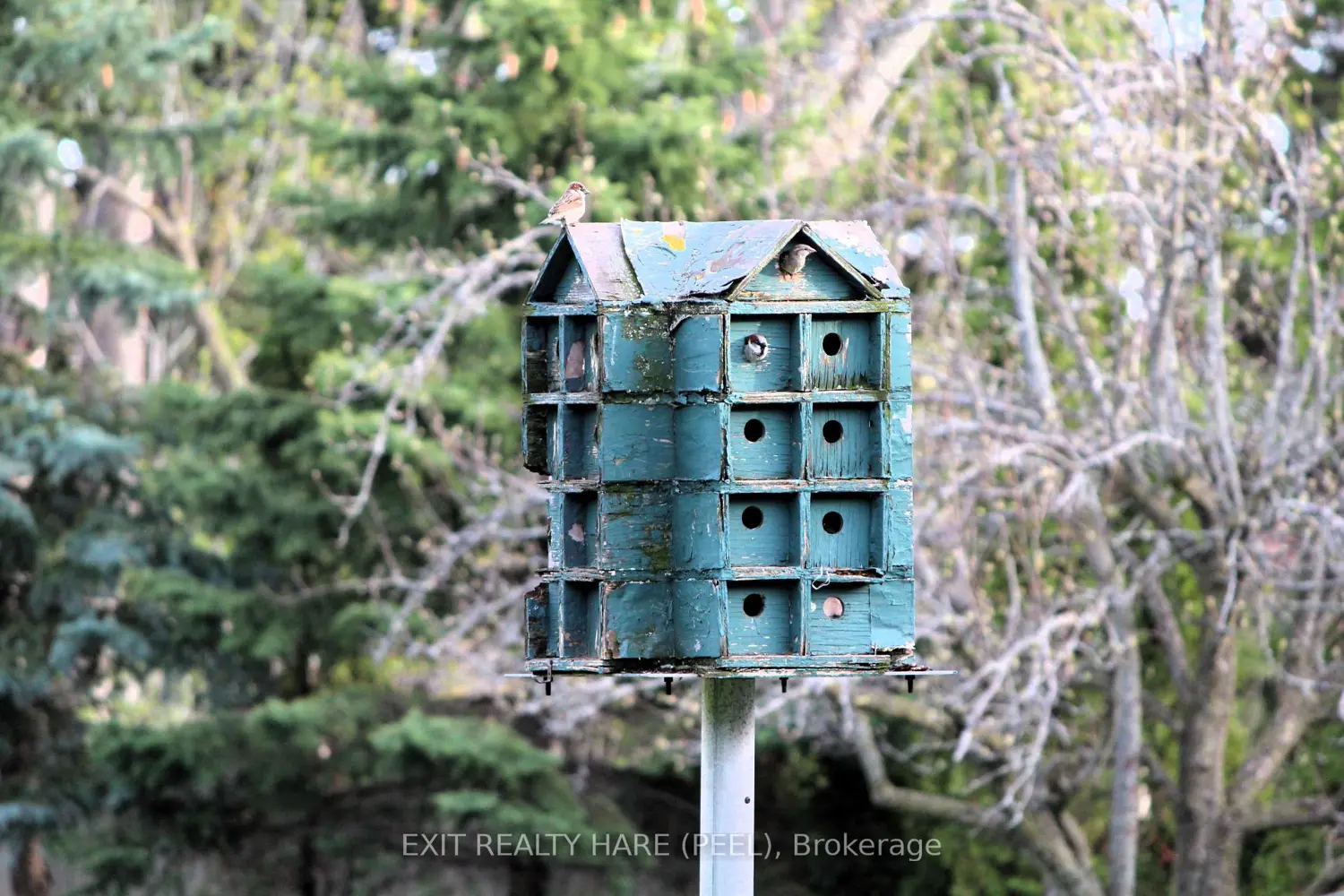 Additional image 7 of 5 Glenbrook Boulevard