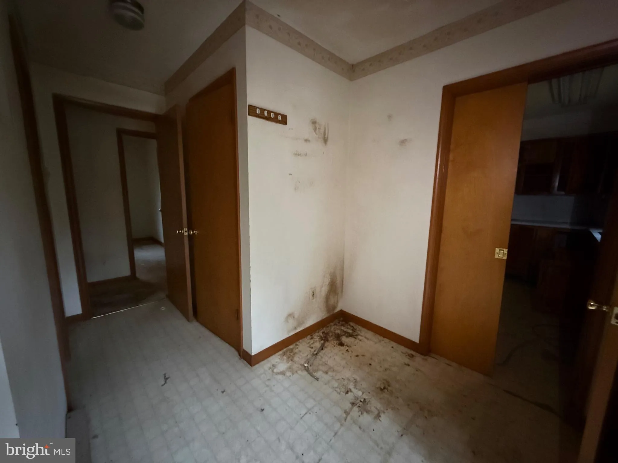 Additional image 49 of 4604 Woodpecker Road, Seaford, DE 19973
