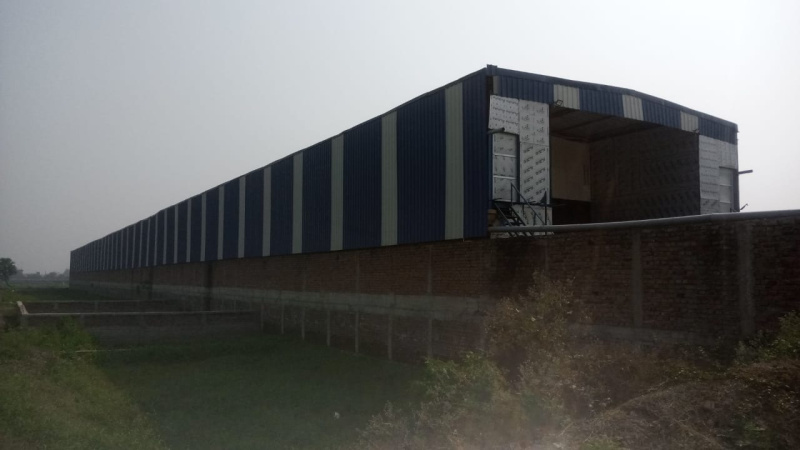 Additional image 2 of Marchi, Patna