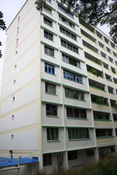 Additional image 11 of 335 Woodlands Street 32