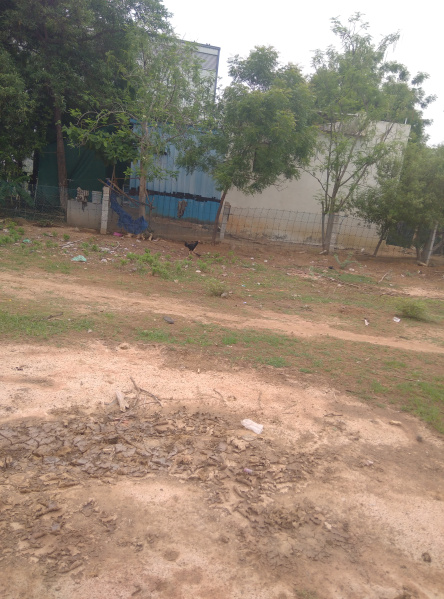 Additional image 3 of Veerapanchan, Madurai