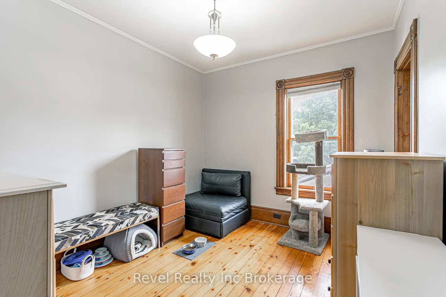 Additional image 16 of 91 Canterbury Street