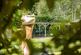 Additional image 33 of High Street, Westerham TN16