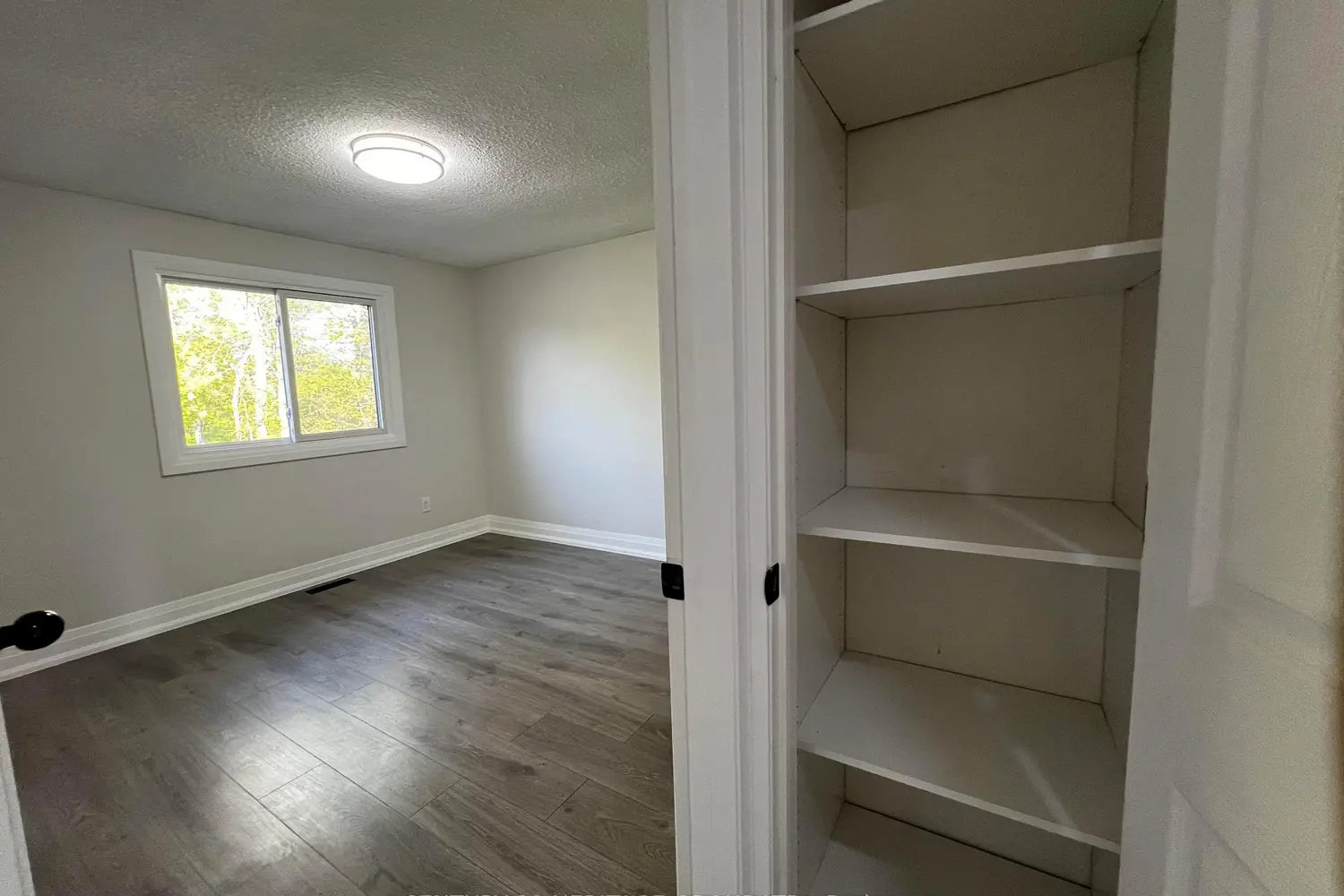 Additional image 9 of 1133 Trowbridge Court