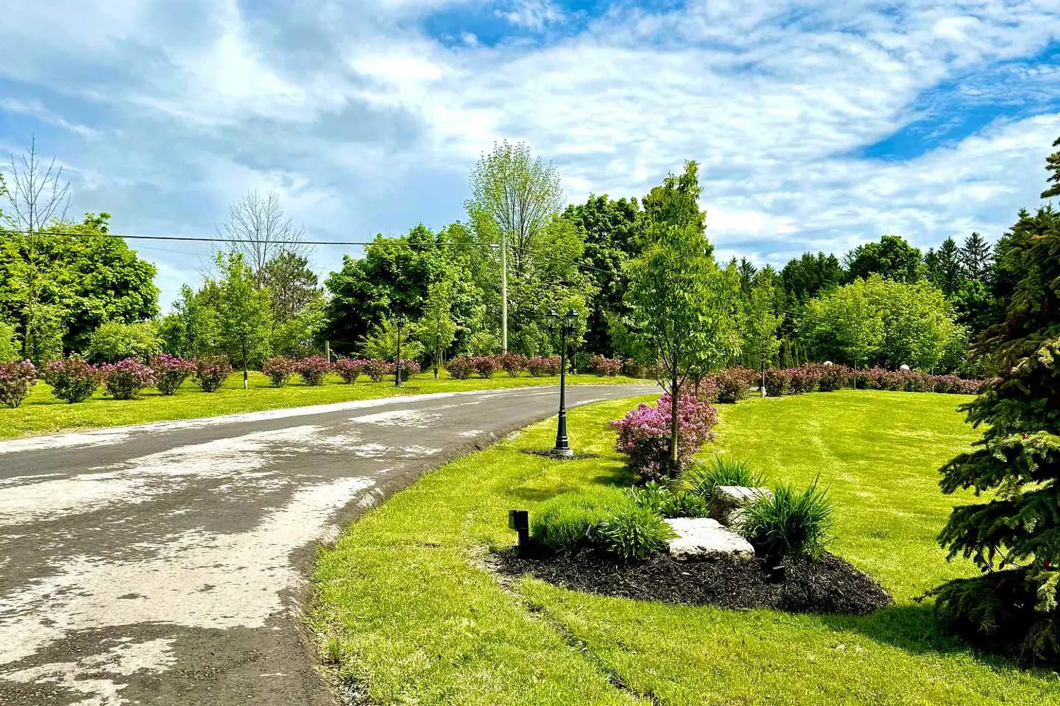 14428 Mccowan Road photo 4