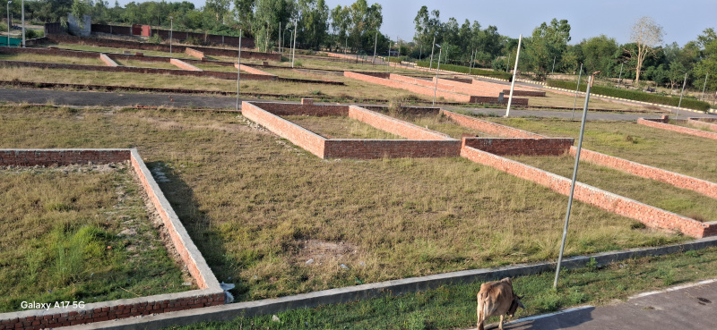 Additional image 3 of New Jail Road, Lucknow