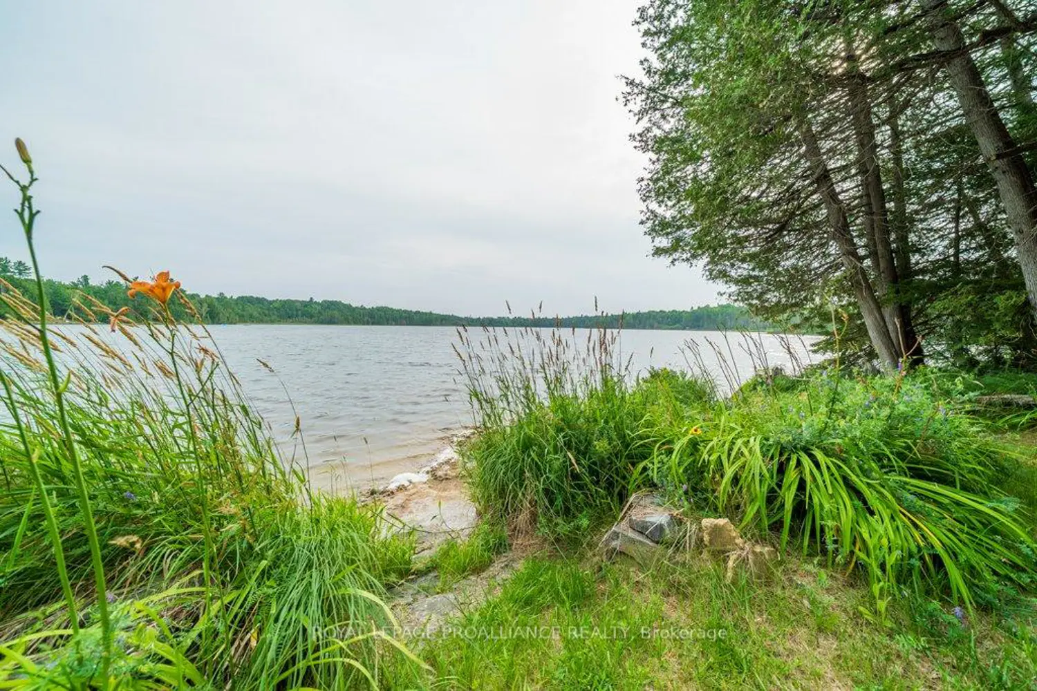 Additional image 15 of 1087 C Hills Lake Rd Road