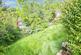 Additional image 15 of Botany Drive, Dudley, DY3