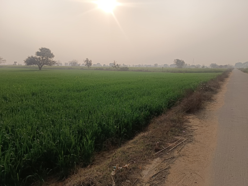 Additional image 2 of Sohna, Gurgaon