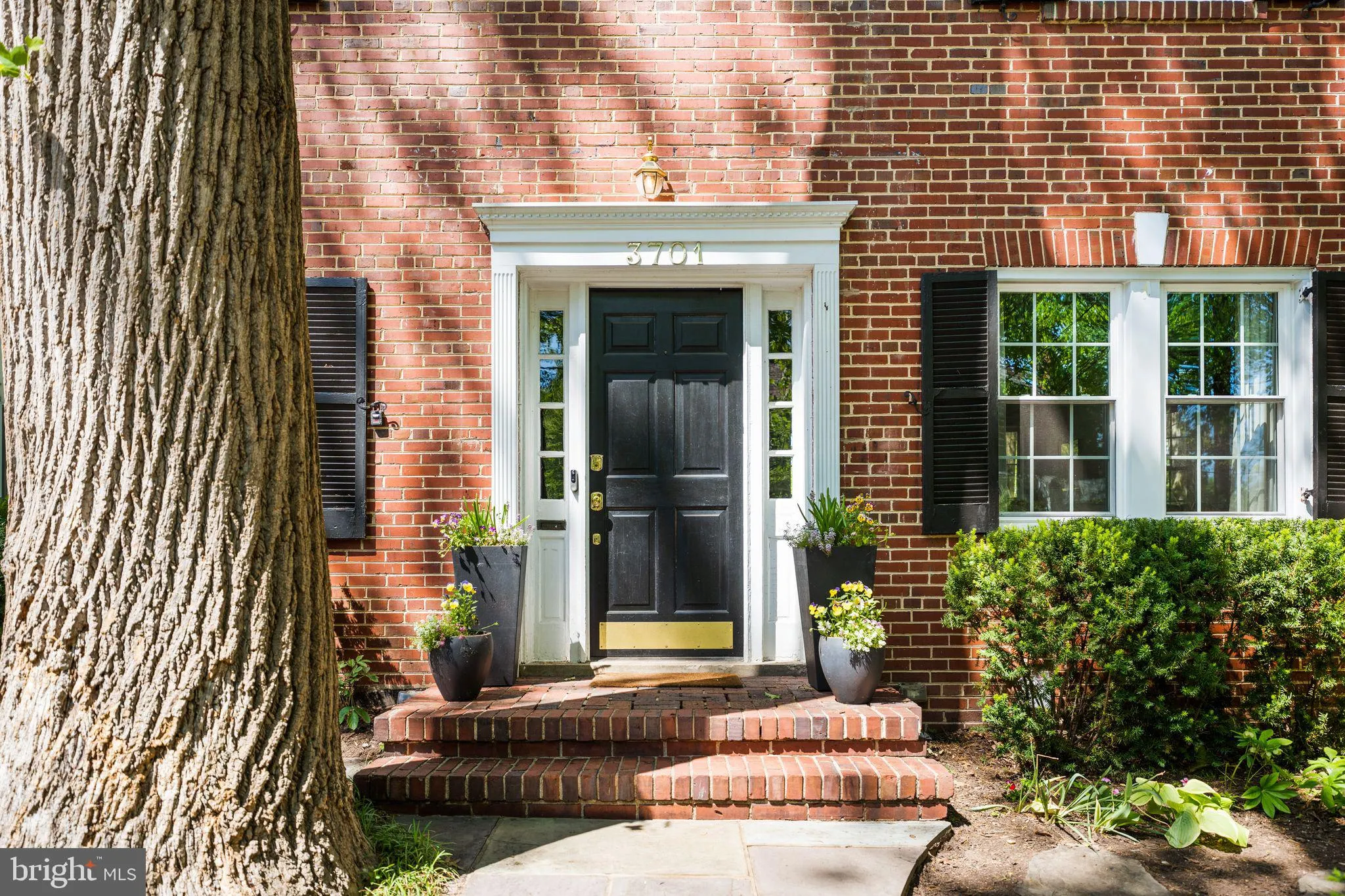 Additional image 65 of 3701 Jocelyn Street NW, Washington, DC 20015