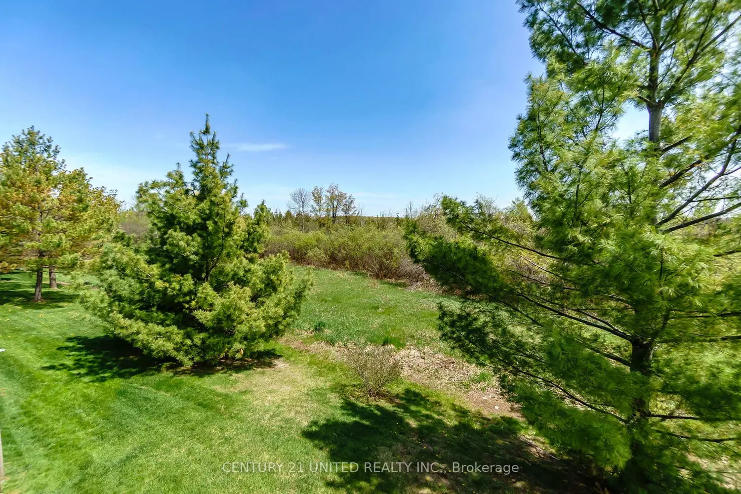 Additional image 10 of 227 Carnegie Avenue 16