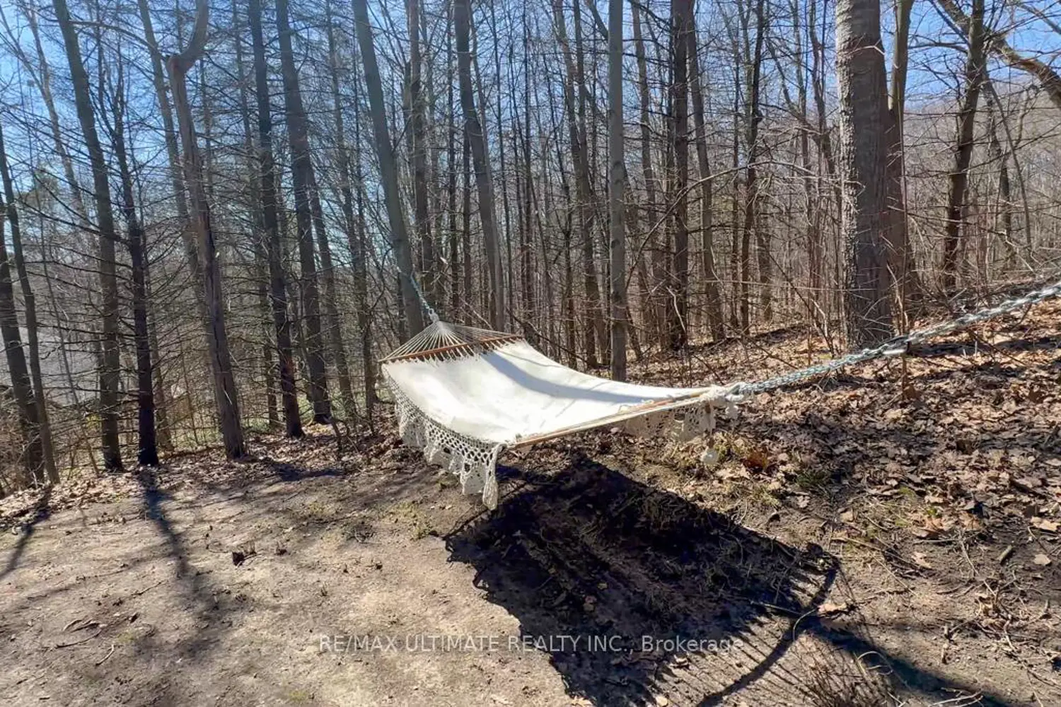 Additional image 17 of 63 Sumac Lane