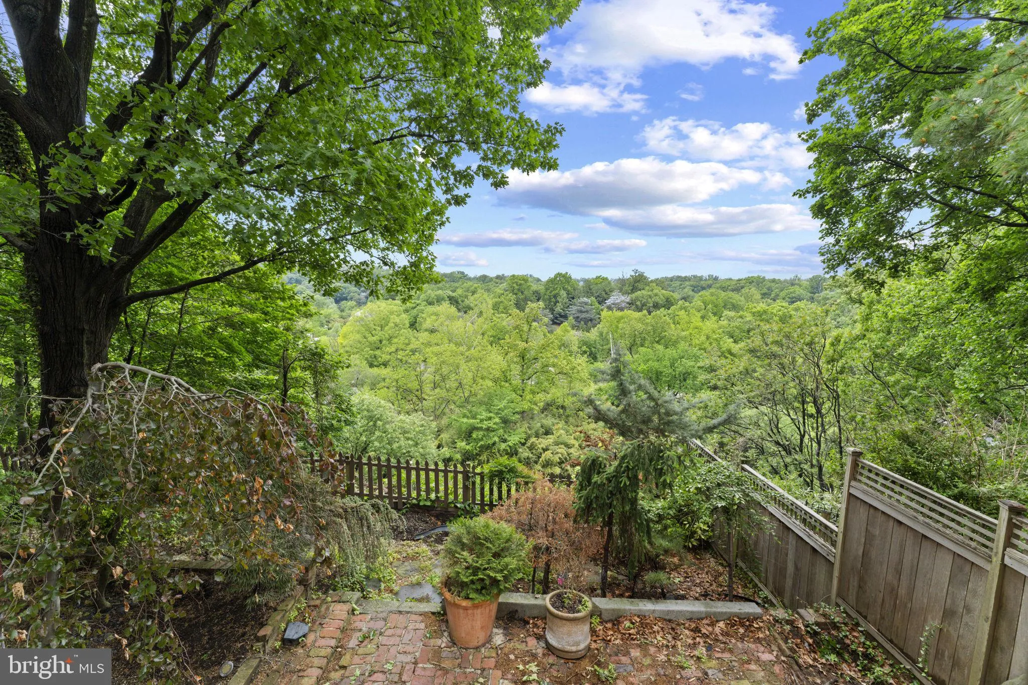 Additional image 47 of 2812 Adams Mill Road NW, Washington, DC 20009