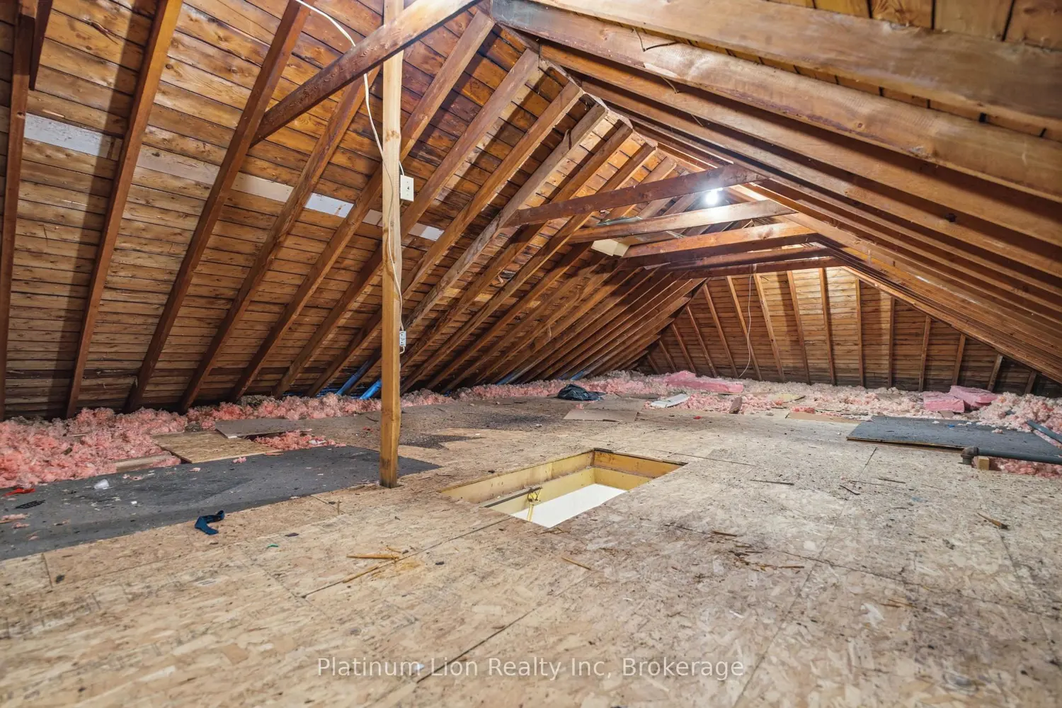 Additional image 15 of 609 Guelph Street