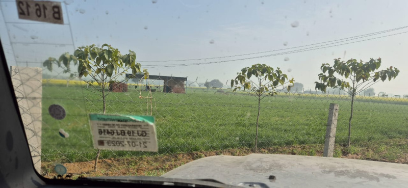 Additional image 3 of Teekli Village, Sohna, Gurgaon