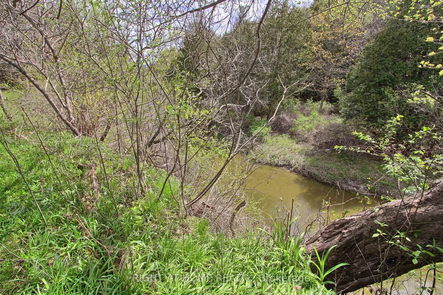 Additional image 9 of 115 Valley Road