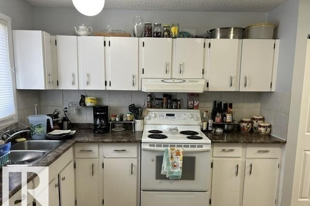 Additional image 8 of 51 Mcleod Place NW, Edmonton, AB, T5A3A8