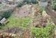 Additional image 13 of Mosswood, Consett DH8