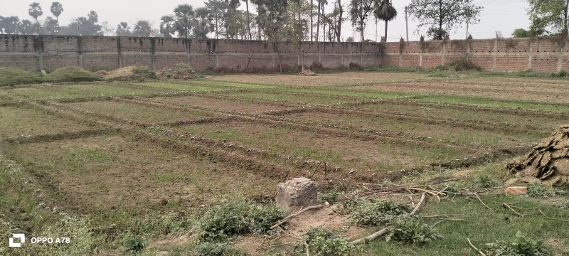 Hardas Bigha, Patna