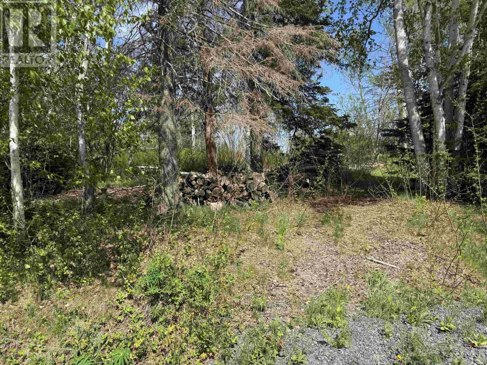 Lot 4.01 Acres River 2 Road