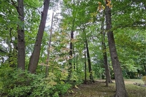 Additional image 3 of LOT 120 Mohawk Avenue, Fort Erie, ON, L0S 1N0
