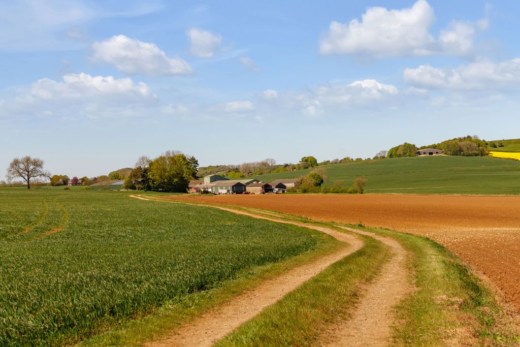 Additional image 18 of Land for saleGlebe Farm | Whole, Oxcombe Road, Belchford, Horncastle LN9