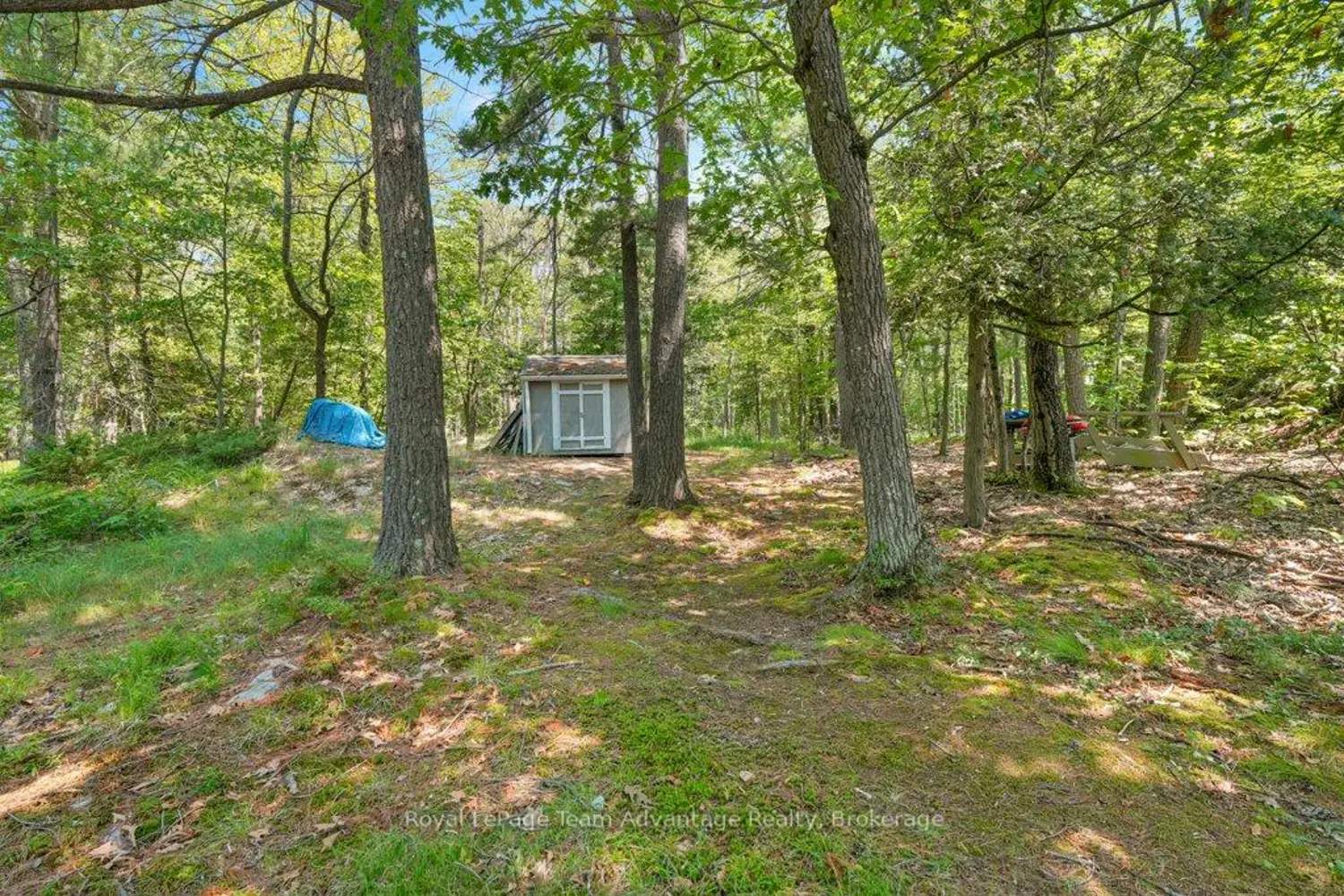 Additional image 14 of 46 Huckleberry Island