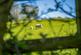 Additional image 49 of Haytons Bent, Ludlow, SY8